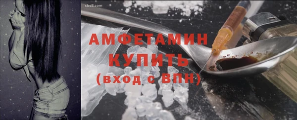 шишки Белокуриха