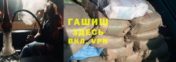 шишки Белокуриха