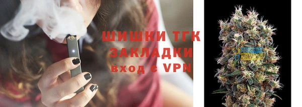 шишки Белокуриха