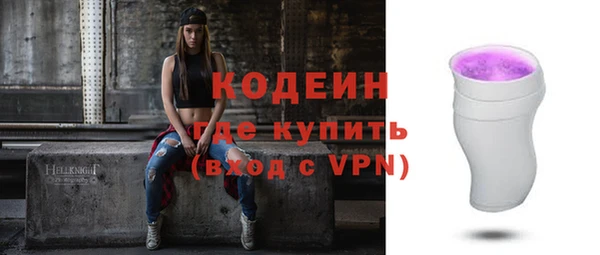 шишки Белокуриха