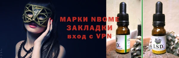 шишки Белокуриха
