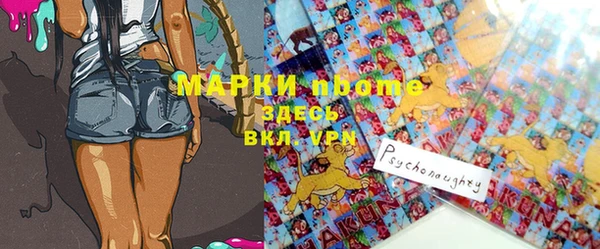 шишки Белокуриха