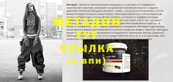 шишки Белокуриха