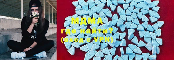 шишки Белокуриха