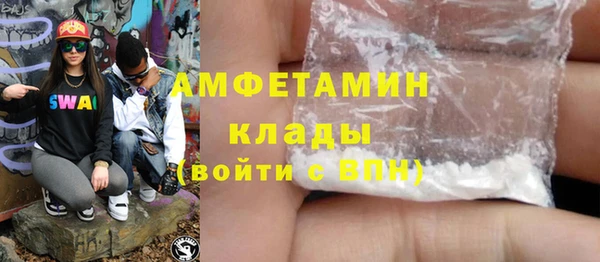 шишки Белокуриха