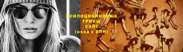 мдпв Беломорск